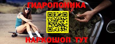 PSILOCYBIN Рыбинск