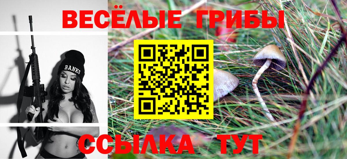 Галлюциногенные грибы MAGIC MUSHROOMS Петрозаводск